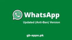 FM WhatsApp APK Download V10.10 Latest Version 2025